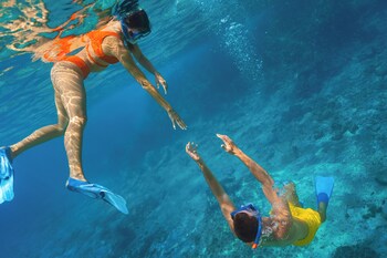 3 albercas al aire libre y sombrillas en la alberca