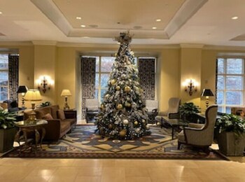 Se sirven desayunos, comidas, cenas y cocina italiana