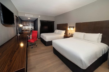 Alberca techada y camastros 