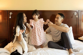 Ropa de cama hipoalergénica, edredón y camas con pillow-top