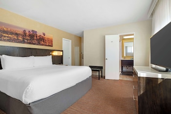 Suite, 1 Queen Bed, Non Smoking, Jetted Tub (with Sofabed)