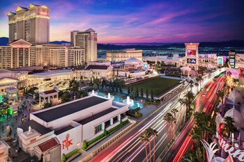 7 bares, bar en la piscina, bar junto a la piscina