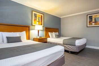 Schreibtisch, Bügeleisen/Bügelbrett, kostenloses WLAN