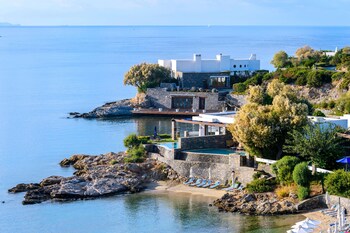 5 من المطاعم، حيث تُقدم وجبات الإفطار، الغداء، العشاء، السوشي