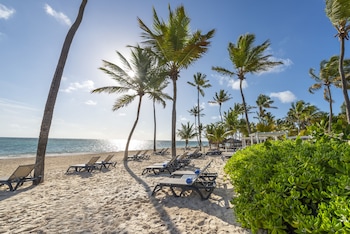 Plage privée, sable blanc, chaise longue, parasol