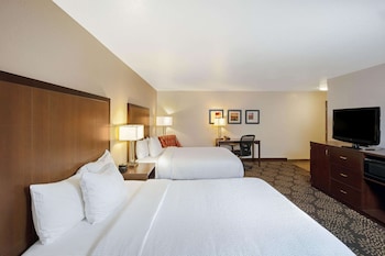 Deluxe Studio Suite, 1 King Bed, Accessible, Pool View (Mobility Accessible, Non-Smoking) | Premium bedding, desk, laptop workspace, blackout drapes
