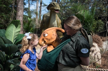 Bar (a l'allotjament)