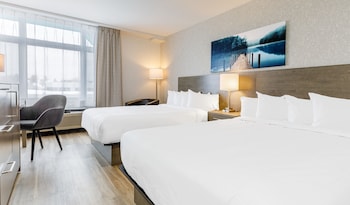 Chambre exĂ©cutive, 2 grands lits | Bureau, rideaux dâobscurcissement, fer et planche Ă repasser