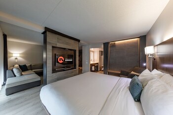 Studio, 1 King Bed