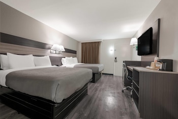 Habitación estándar, 2 camas matrimoniales, para no fumadores | Cortinas blackout, insonorización, wifi gratis y ropa de cama