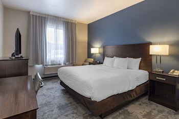 Business Room, 1 King Bed, Non Smoking