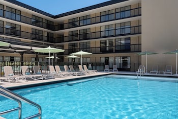 Premium Studio Suite, Multiple Beds, Non Smoking