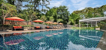 Outdoor pool, sun loungers