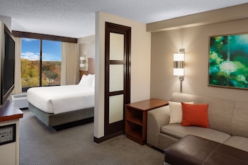 Esmorzar diari d'estil bufet (11 USD per persona)