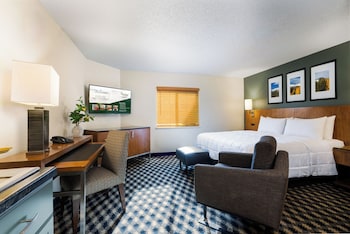 Studio, 1 King Bed, Mountain View | Mountain view