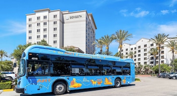 Room, 2 Double Beds, Accessible (Mobility Roll in Shower) | 1 bedroom, premium bedding, pillowtop beds, in-room safe