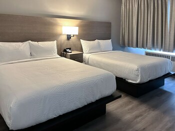 Desk, soundproofing, free WiFi, bed sheets