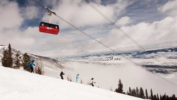 2 restaurantes, se sirven desayunos, comidas, cenas y cocina americana