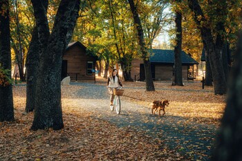 Piscine extérieure, cabanas gratuites, parasols