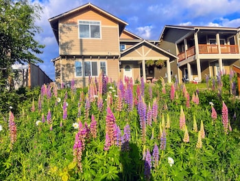 Oven, stovetop, dishwasher, rice cooker