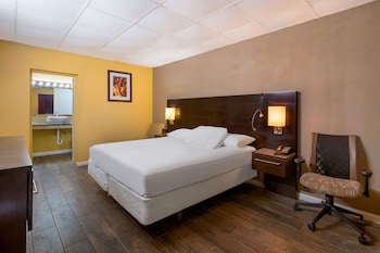 Habitación estándar, 1 cama King size, para no fumadores | Escritorio y wifi gratis 