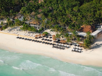 Relax by the oceanfront pool surrounded by palm trees and a shaded area.