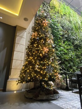 Fassade der Unterkunft – Abend/Nacht