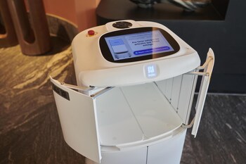 Suite, 1 cama King size, Terraza, vista a la ciudad (Living Room;with Sofabed) | Minibar, escritorio, espacio para trabajar con laptop y ropa de cama 