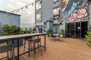 A modern interior with a large window, a potted plant, and two hanging chairs.