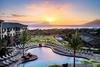 Outdoor pool, free pool cabanas, pool umbrellas