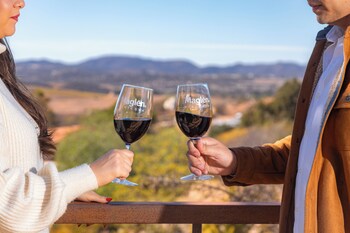 Junior Suite Encinal | Terrasse/patio