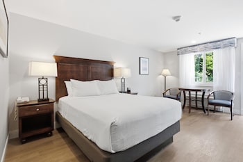 A bedroom with a bed, bedside tables, a sofa, a window with curtains, and artwork on the walls.