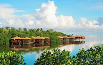 Relax on the beach with lounge chairs and umbrellas, surrounded by palm trees and a tranquil ocean view.