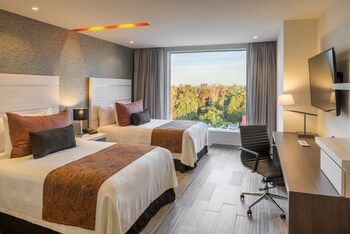Suite Larga Estancia | Ropa de cama de alta calidad y caja de seguridad en la habitación