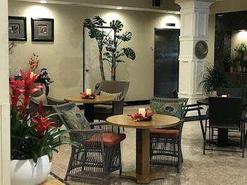 Premium bedding, desk, blackout curtains, iron/ironing board