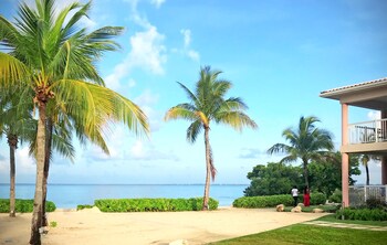 Breakfast, lunch, dinner served; international cuisine, pool views