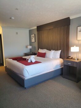 Traditional Room, 2 Queen Beds | Premium bedding, desk, blackout drapes, iron/ironing board