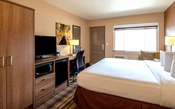 Desk, blackout drapes, iron/ironing board, free cribs/infant beds