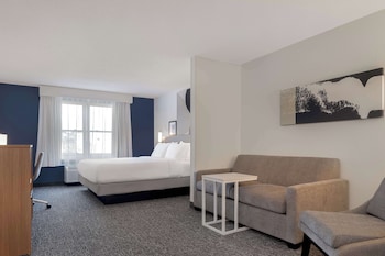 Room, 1 King Bed with Sofa bed