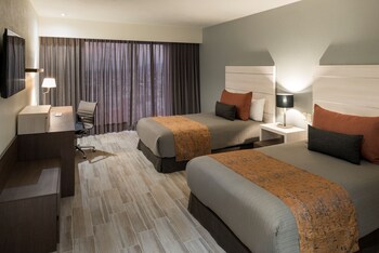 Junior Suite | Roupas de cama premium, cofres nos quartos, escrivaninha