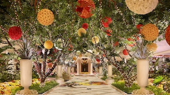 Un amplio pasillo con un arco floral, plantas en macetas y suelo con diseño.