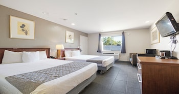 1 chambre, chambres insonorisées, fer et planche à repasser