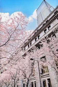 Sauna, bain à remous, hammam, soins corporels, soins d'aromathérapie