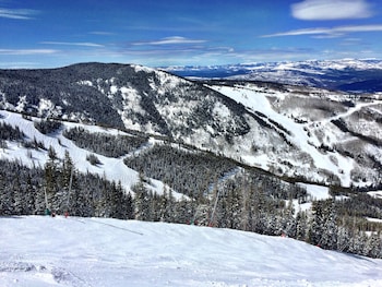 Alberca al aire libre y camastros