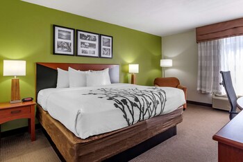 Premium bedding, desk, iron/ironing board, free cribs/infant beds