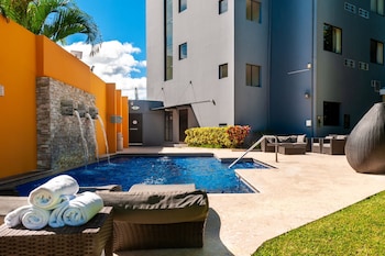 Jardim