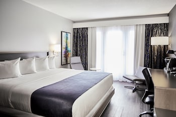Suite Executive | Biancheria da letto ipoallergenica, tende oscuranti, ferro/asse da stiro