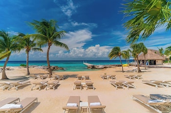 Studio Suite, 1 King Bed, Oceanfront | Premium bedding, in-room safe, desk, blackout curtains