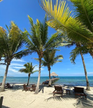 Alberca al aire libre y camastros 