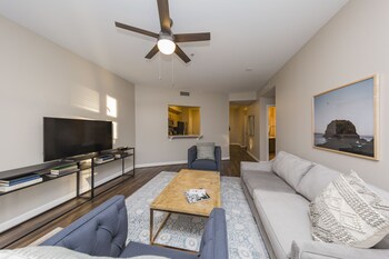 Flat-screen TV, Netflix